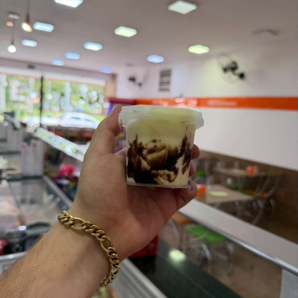 POTINHO 160 ML SEM ADIÇÃO DE AÇÚCAR DE LEITE NINHO TRUFADO